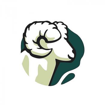 Gambar CV Bariklana Berkah Nusantara