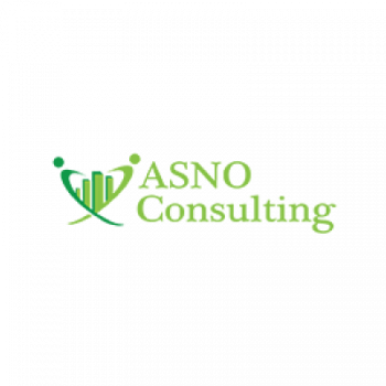 Gambar ASNO Consulting