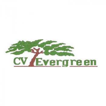 Gambar CV Evergreen