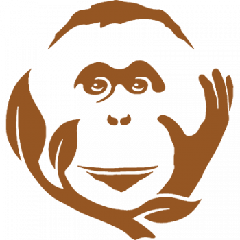 Gambar Orangutan Foundation Indonesia