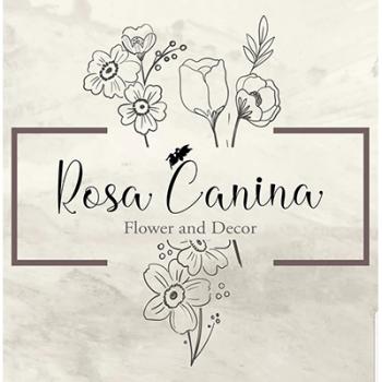 Gambar Rosa Canina Florist