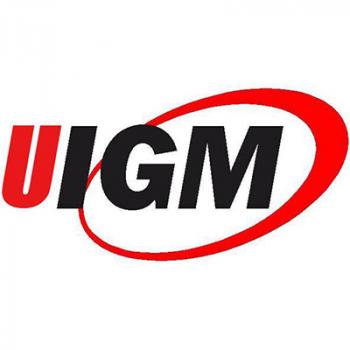 Gambar Universitas Indo Global Mandiri (UIGM)