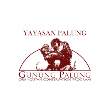 Yayasan Palung Gambar Yayasan Palung