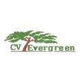 Gambar CV Evergreen
