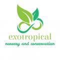 Gambar Exotropical Aroid