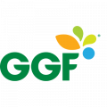 Gambar Great Giant Foods (GGF)