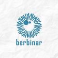 Gambar PT Berbinar Insightful Indonesia