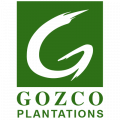 Gambar PT Gozco Plantations Tbk