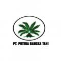 Gambar PT Putera Bangka Tani