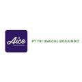 Gambar PT Tri Unggul Bogaindo