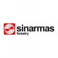 Gambar Sinarmas Forestry